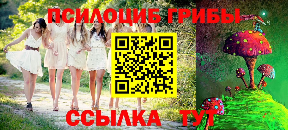 Галлюциногенные грибы Psilocybe Гуково