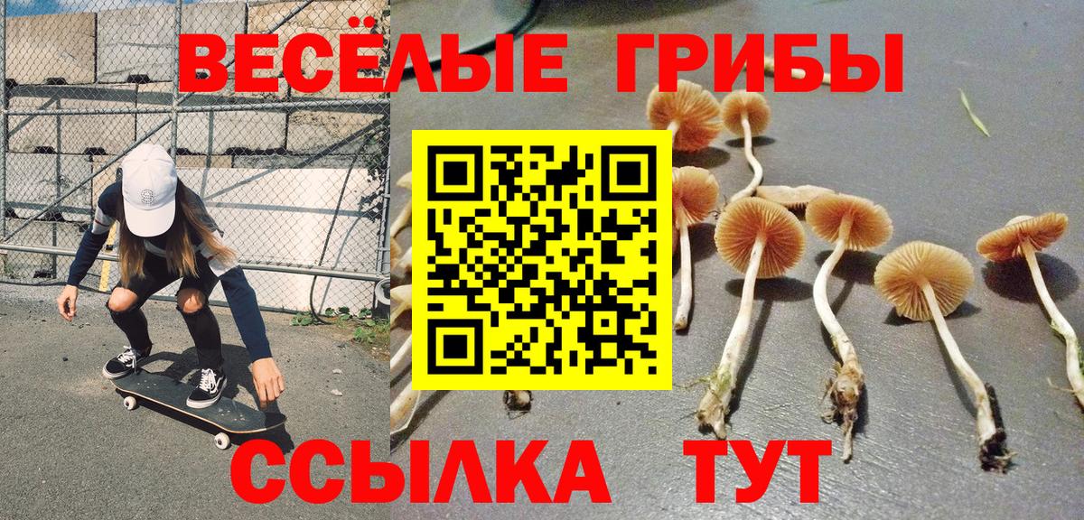 купить   Вход с VPN  Гуково  Псилоцибиновые грибы GOLDEN TEACHER  Псилоцибиновые грибы мицелий 